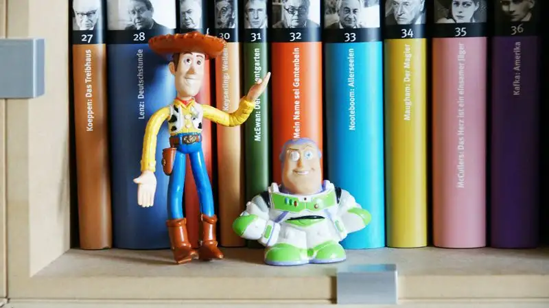 Blog, Bücherregale, Raumteiler, Trennwand l, naturpur