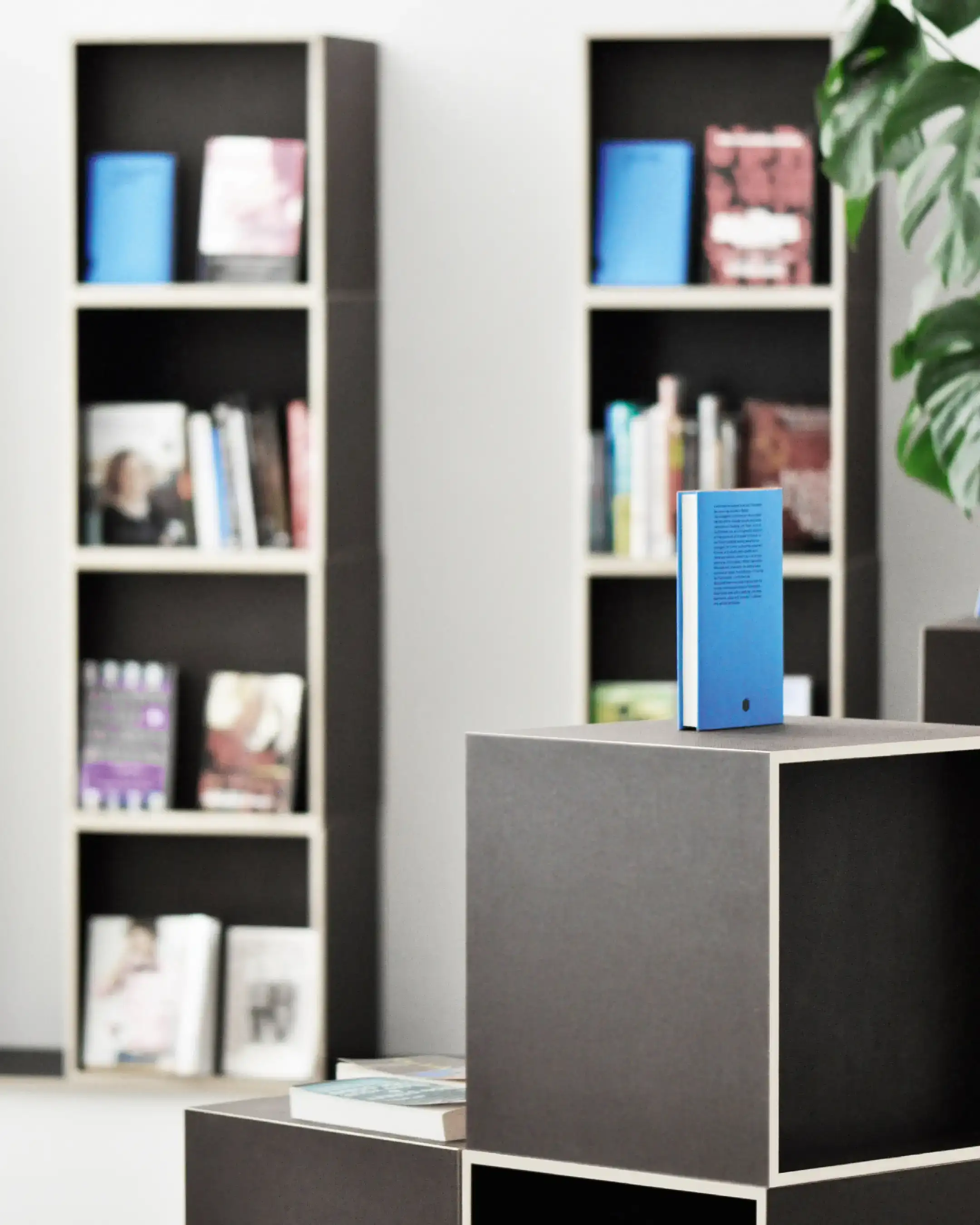 150821, DSC0435B2, FINAL, 4x5-60, bookcase furniture furnishing interior home room modern shelf house book background-apricot_lighter