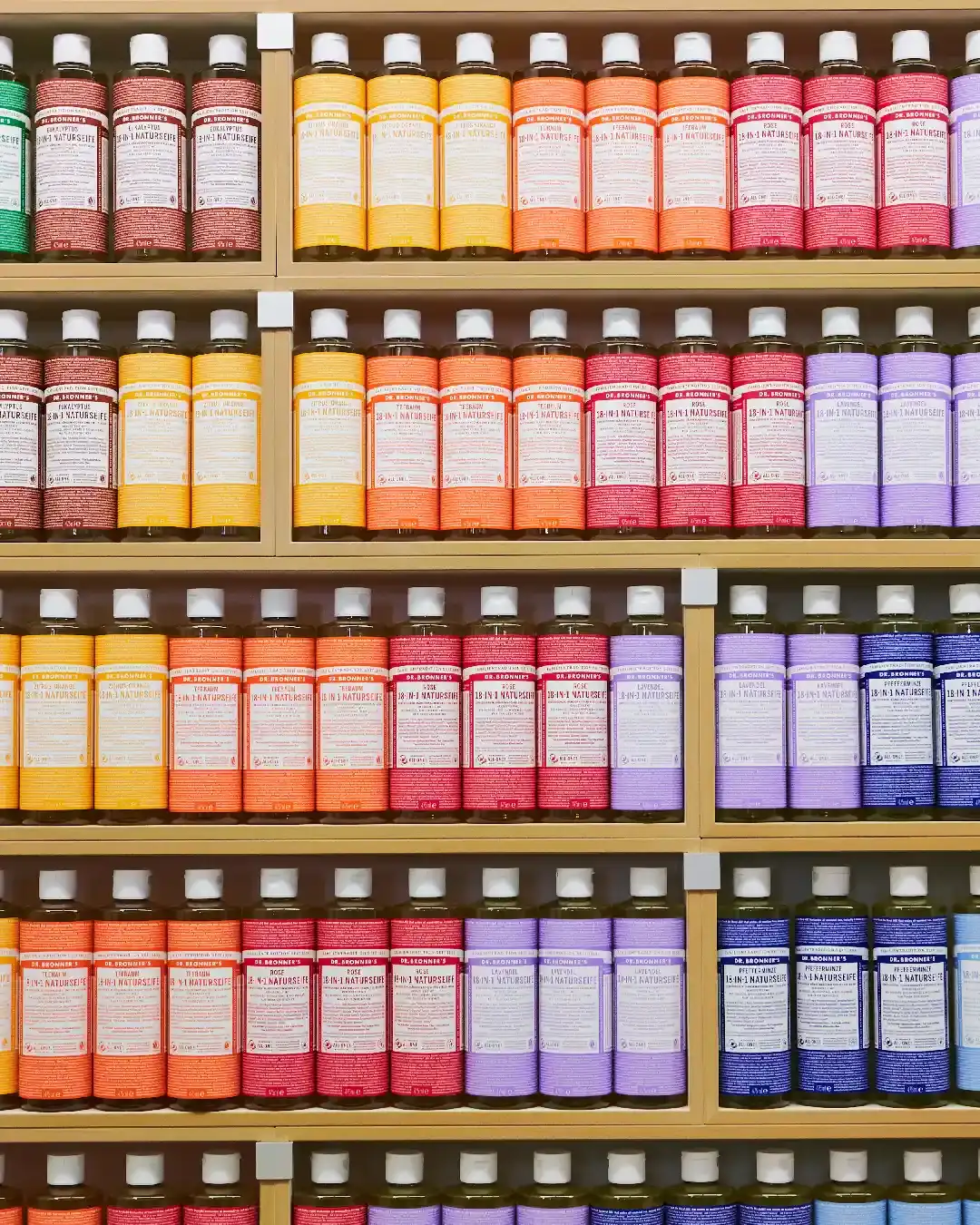 Stocubo, Stores393, 4x5-30, library building shelf structure bottle business shop wine bottle data row