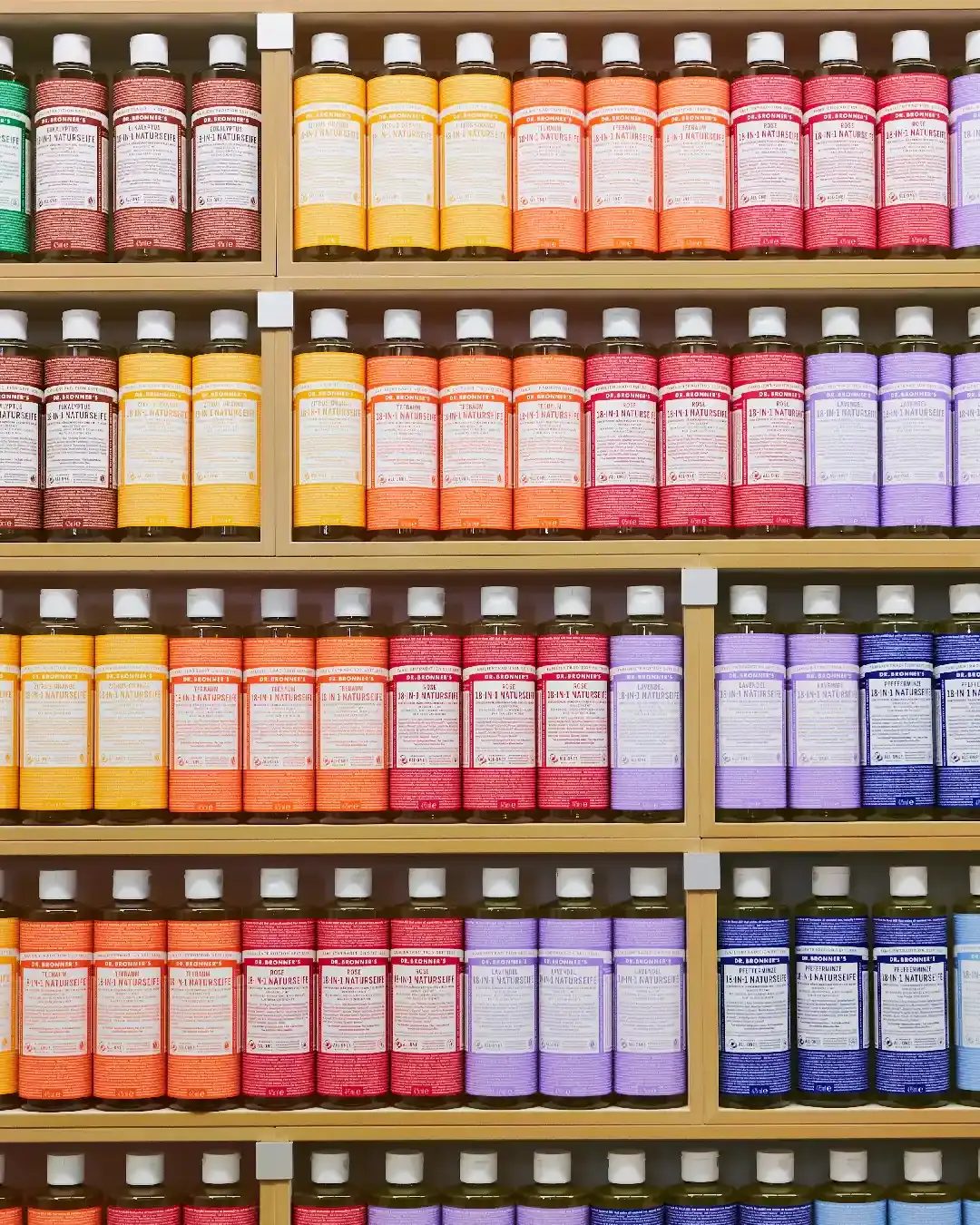 Stocubo, Stores393, 4x5-30, library building shelf structure bottle business shop wine bottle data row