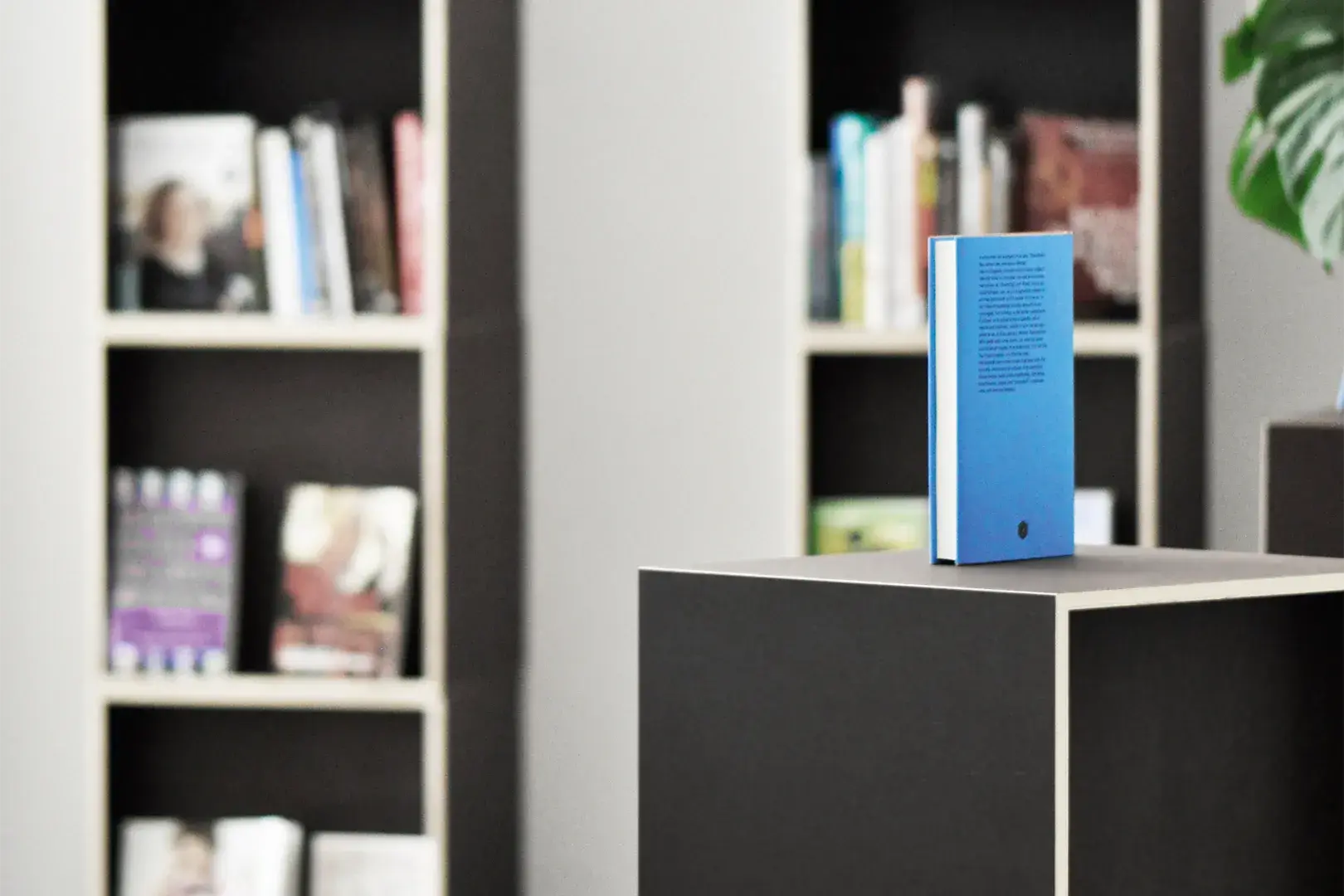 Geschäftskundinnen, Geschäftskunden, B2B, Buchhandlung, Black Edition, Schwarze Cubes, schwarz, 70