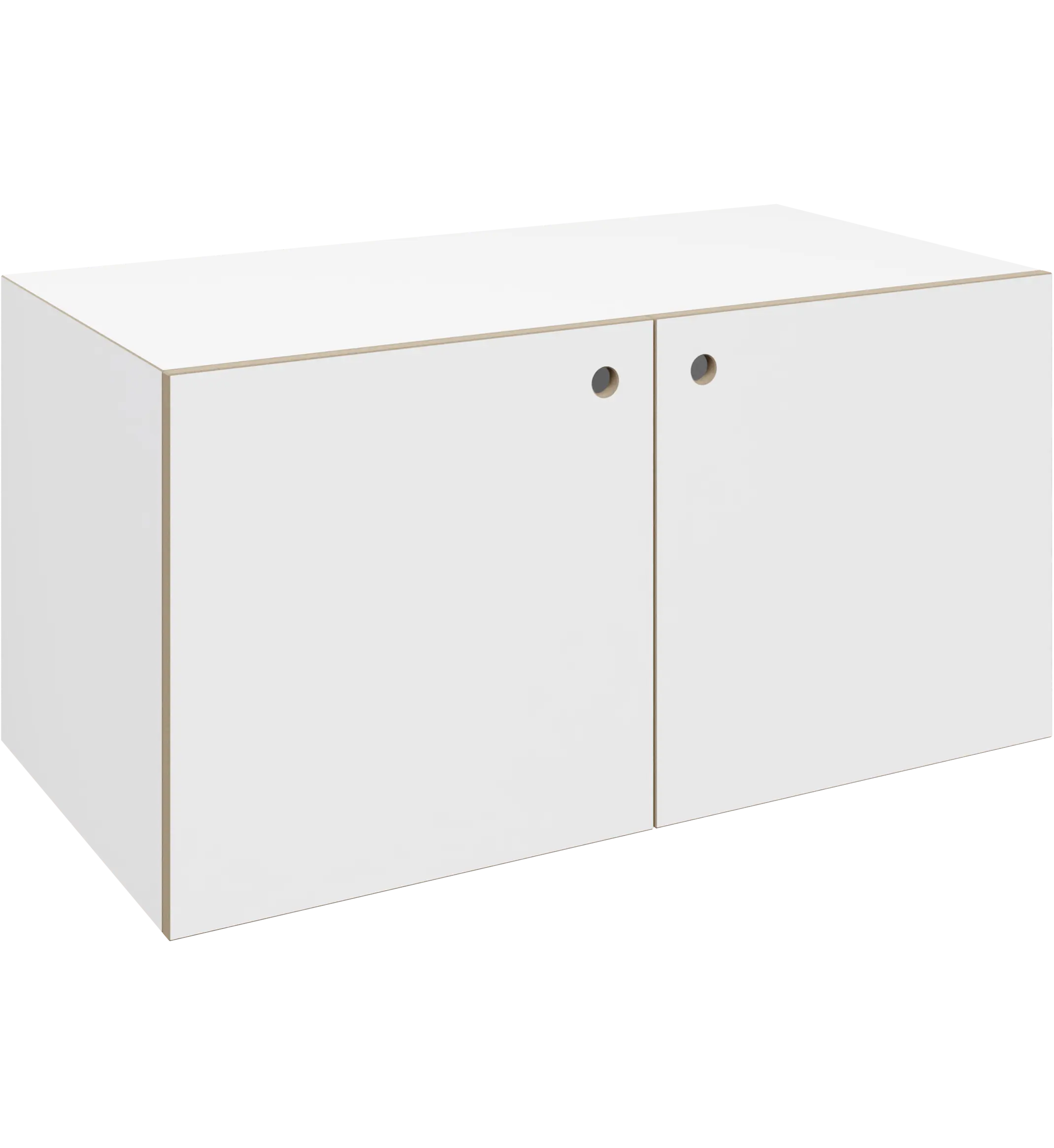 2:1 Modul, mit Tür