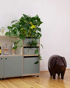 Schlafzimmer, Wohnzimmer, Sideboards, Kommode, Eukalyptus, 4x5, 4x5, 30