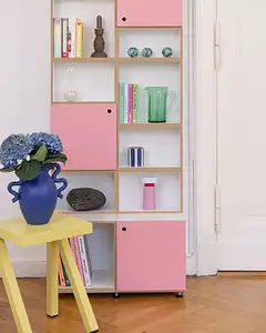 Wohnzimmer, Bücherregal, DVD, CD, Büro, Home-Office, Tür, Grundplatte, Pink, Flamingopink, 4x5, 40