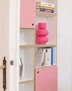 Hohes Bücherregal in Pink Wohnzimmer, Bücherregal, DVD, CD, Büro, Home-Office, Tür, Pink, Flamingopink, 4x5, 50