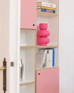 Wohnzimmer, Bücherregal, DVD, CD, Büro, Home-Office, Tür, Pink, Flamingopink, 4x5, 50
