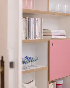 Wohnzimmer, Bücherregale, Home-Office, Büro, halbe Tiefe, Tür, Flamingopink, Pink, 4x5, 60