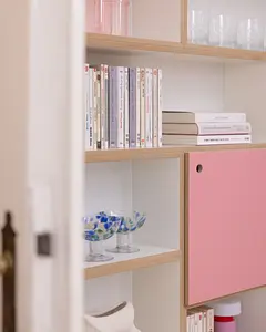 Wohnzimmer, Bücherregale, Home-Office, Büro, halbe Tiefe, Tür, Flamingopink, Pink, 4x5, 60