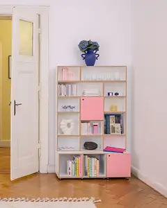 Wohnzimmerregal halbe Tiefe Wohnzimmer, Bücherregal, Home-Office, Büro, Flamingopink, Pink, Tür, 4x5, 40