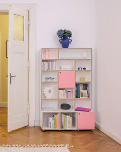 Wohnzimmerregal halbe Tiefe Wohnzimmer, Bücherregal, Home-Office, Büro, Flamingopink, Pink, Tür, 4x5, 40