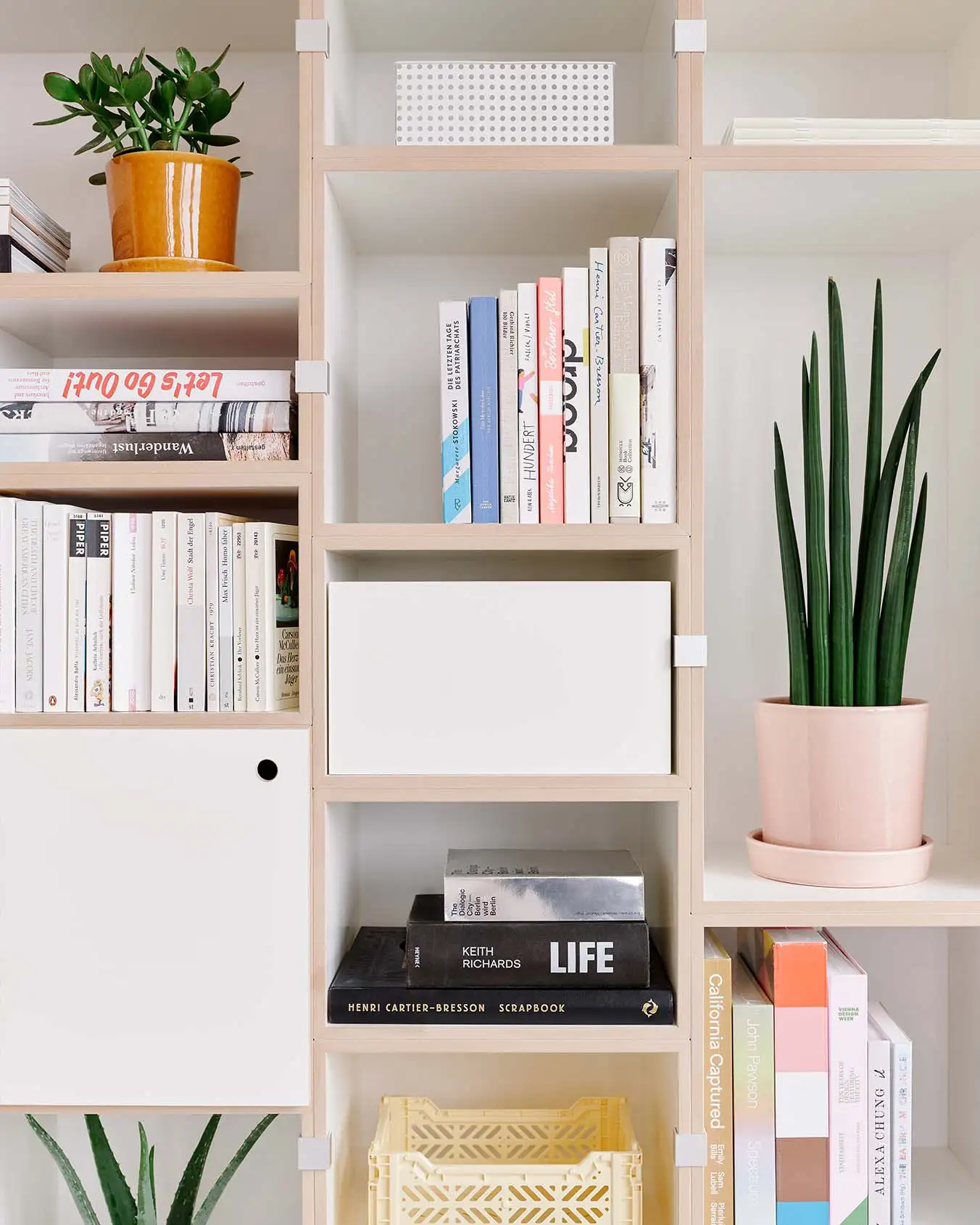 Bücherregale, 1:1 Modul, Einschub, 2:1 Modul hochkant, Tür, weiß