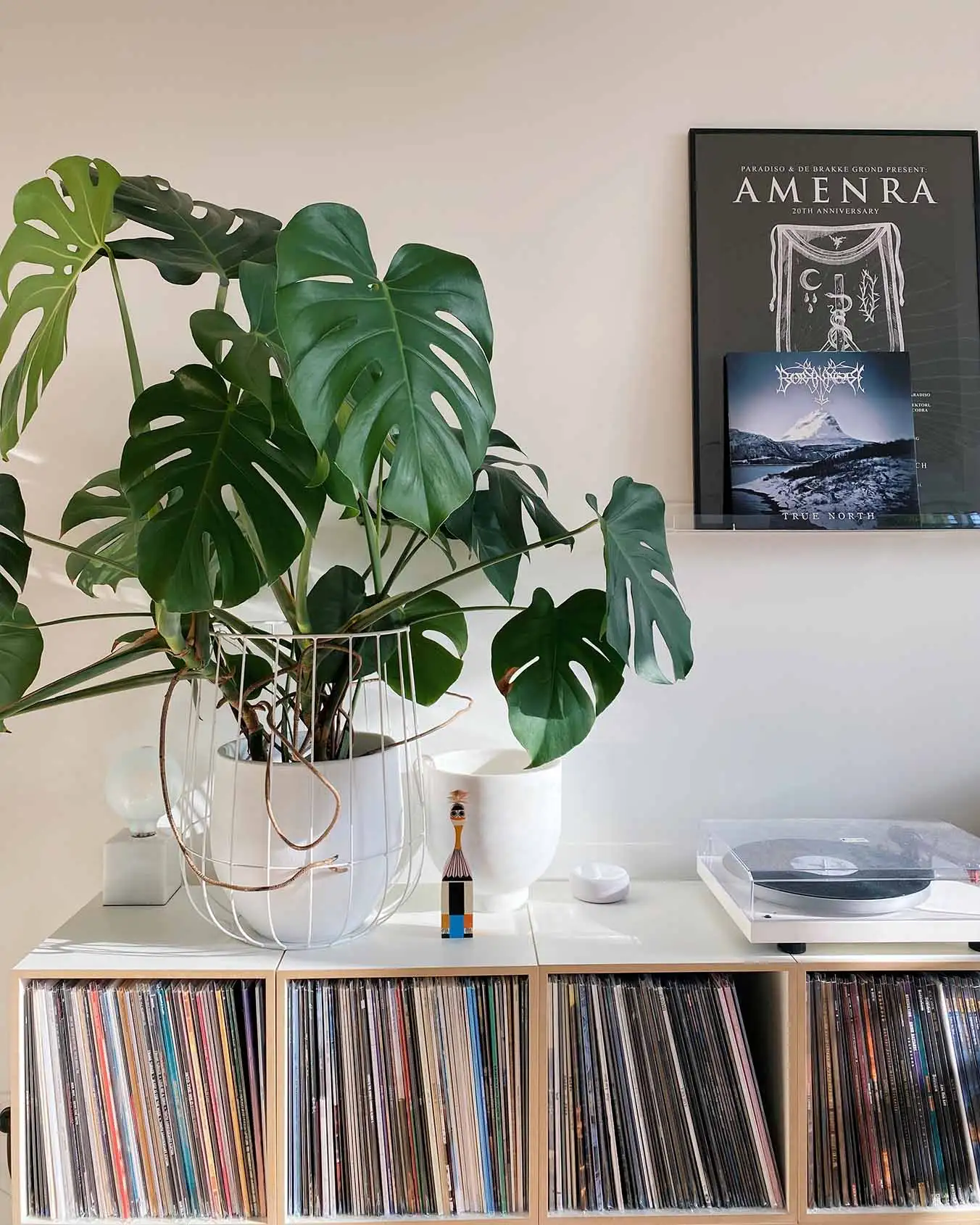 Kooperationen, Kristina Ahoi, frontal, Schallplattenregal, Detail