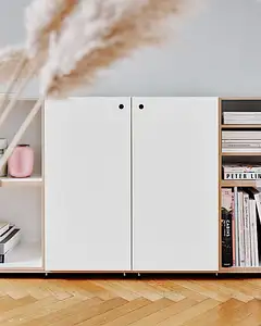 Sideboards, Wohnzimmerregale, 2:1 Modul, mit Tür Hochkant, Retusche, 4x5, 5