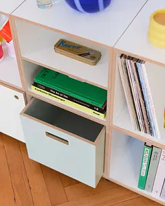Sideboards, Wohnzimmerregale, Sideboard mit Einschüben, 1:1 Modul mit Tür, 1:1 Einschub, Griff, Pistaziengrün, Retusche, 4x5, 4
