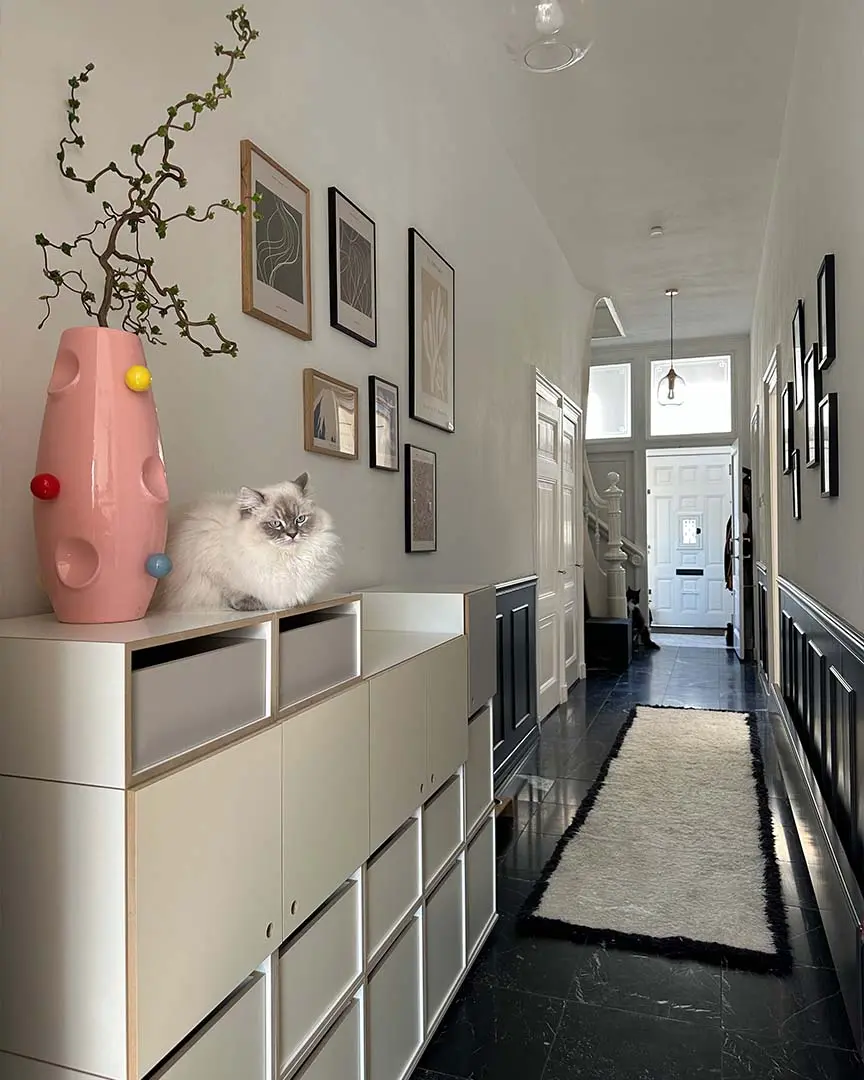 Koop, Flurregale, Rapsodia, Katze