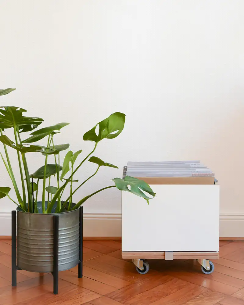 Rollcontainer Kanzlei Blog, Geschäftskunden, Koop, Sonja, Aktenregal, Büroregal, Anwaltskanzlei