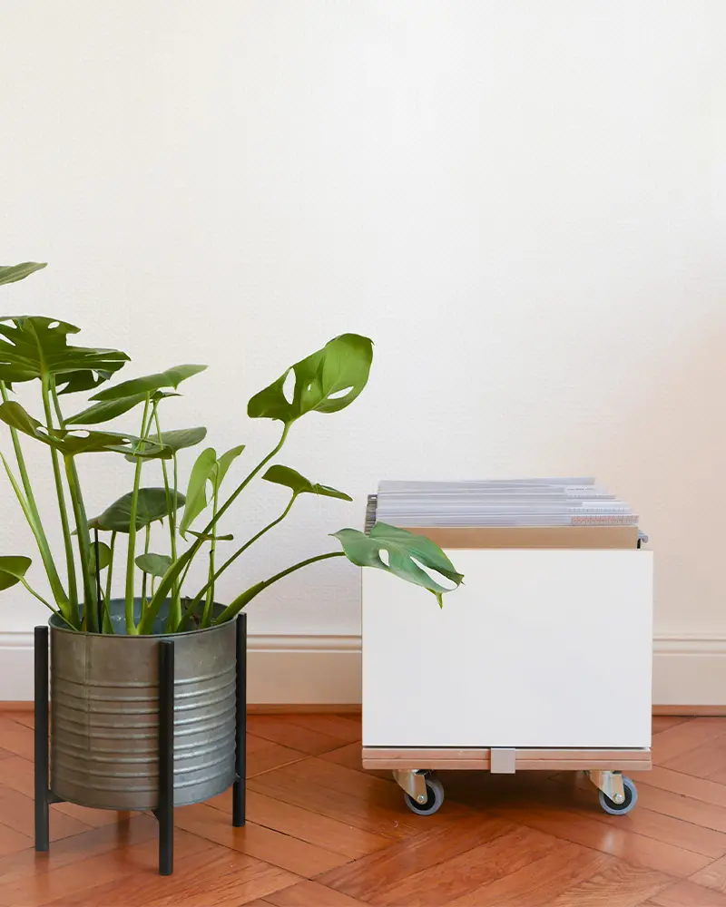 Rollcontainer Kanzlei Blog, Geschäftskunden, Koop, Sonja, Aktenregal, Büroregal, Anwaltskanzlei