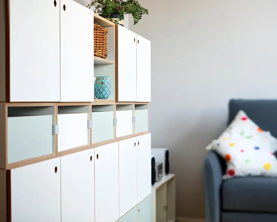 Kundenbilder, Wohnzimmerregale, Einschub, Tür, pistaziengrün