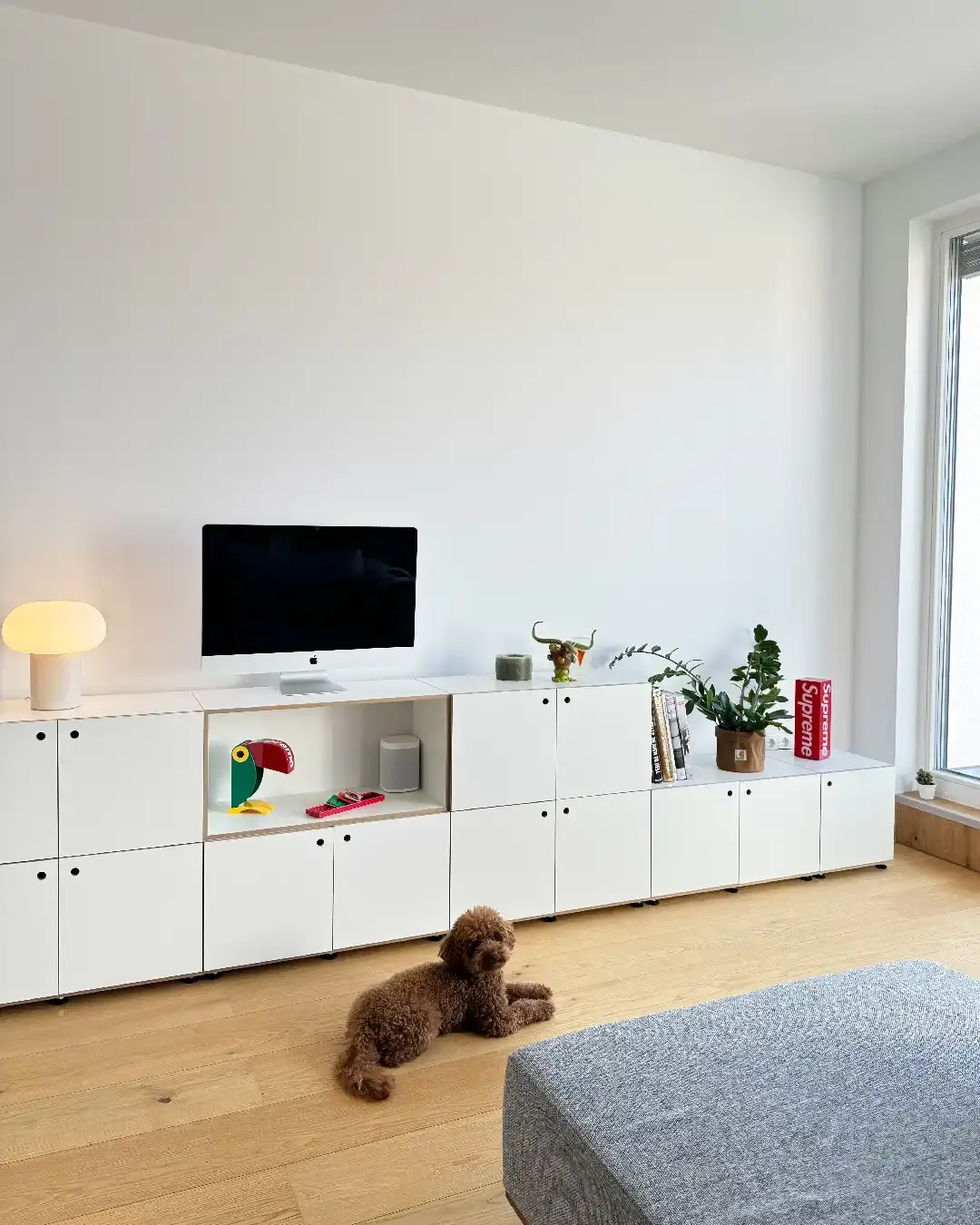 Koop, Sideboards, Wohnzimmer, Dani, Wide Awake Earthquake, 50