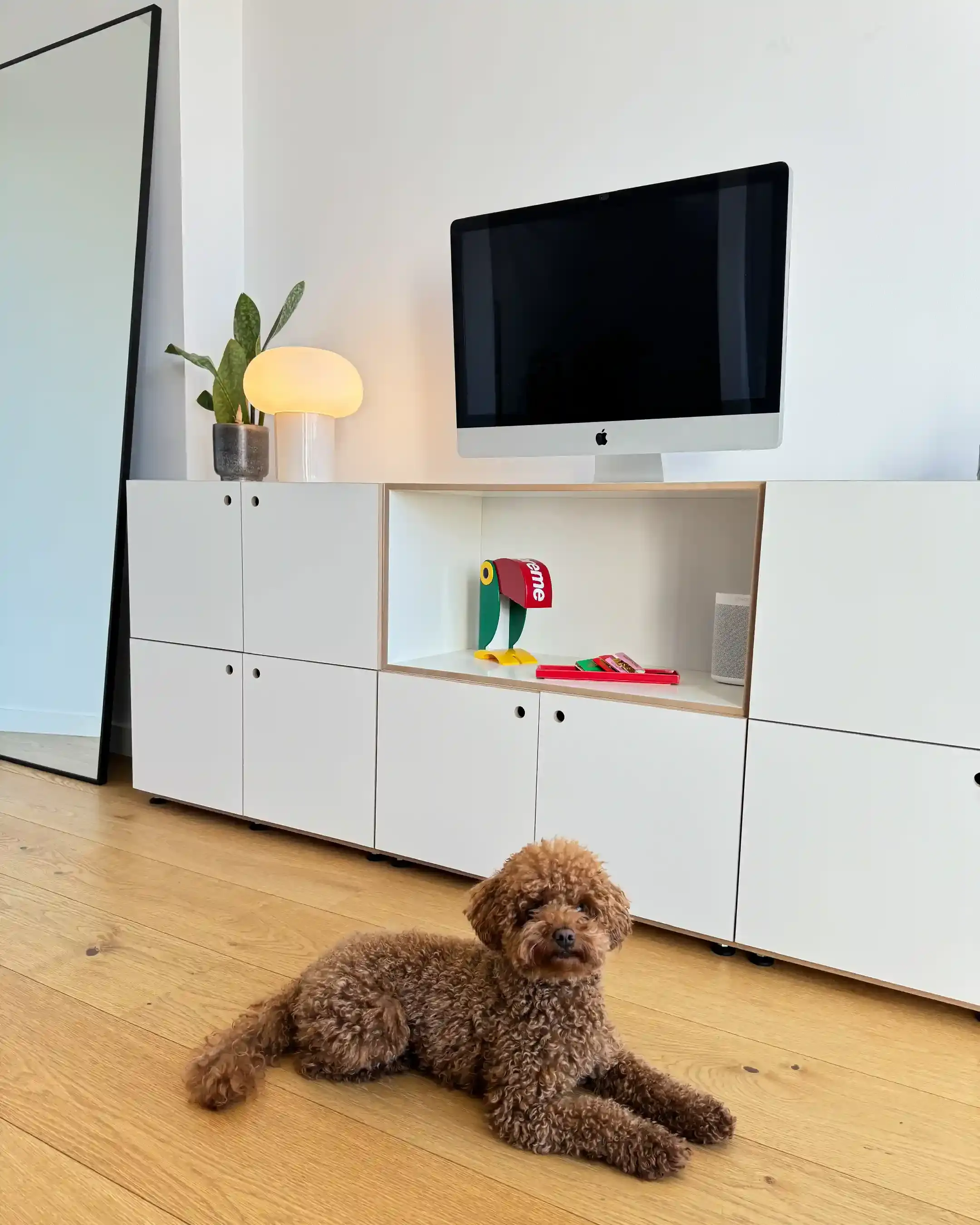 Wohnzimmer Sideboard mit Türen Koop, Sideboards, Wohnzimmer, Dani, Wide Awake Earthquake, 4x5, 20