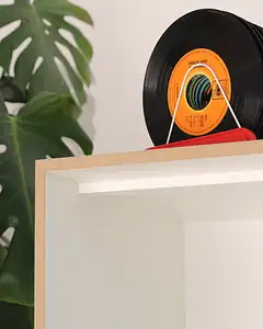 HiFi Modul, Streben, Monstera, Pflanze, 4x5, 70