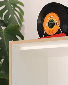 HiFi Modul, Streben, Monstera, Pflanze, 4x5, 70