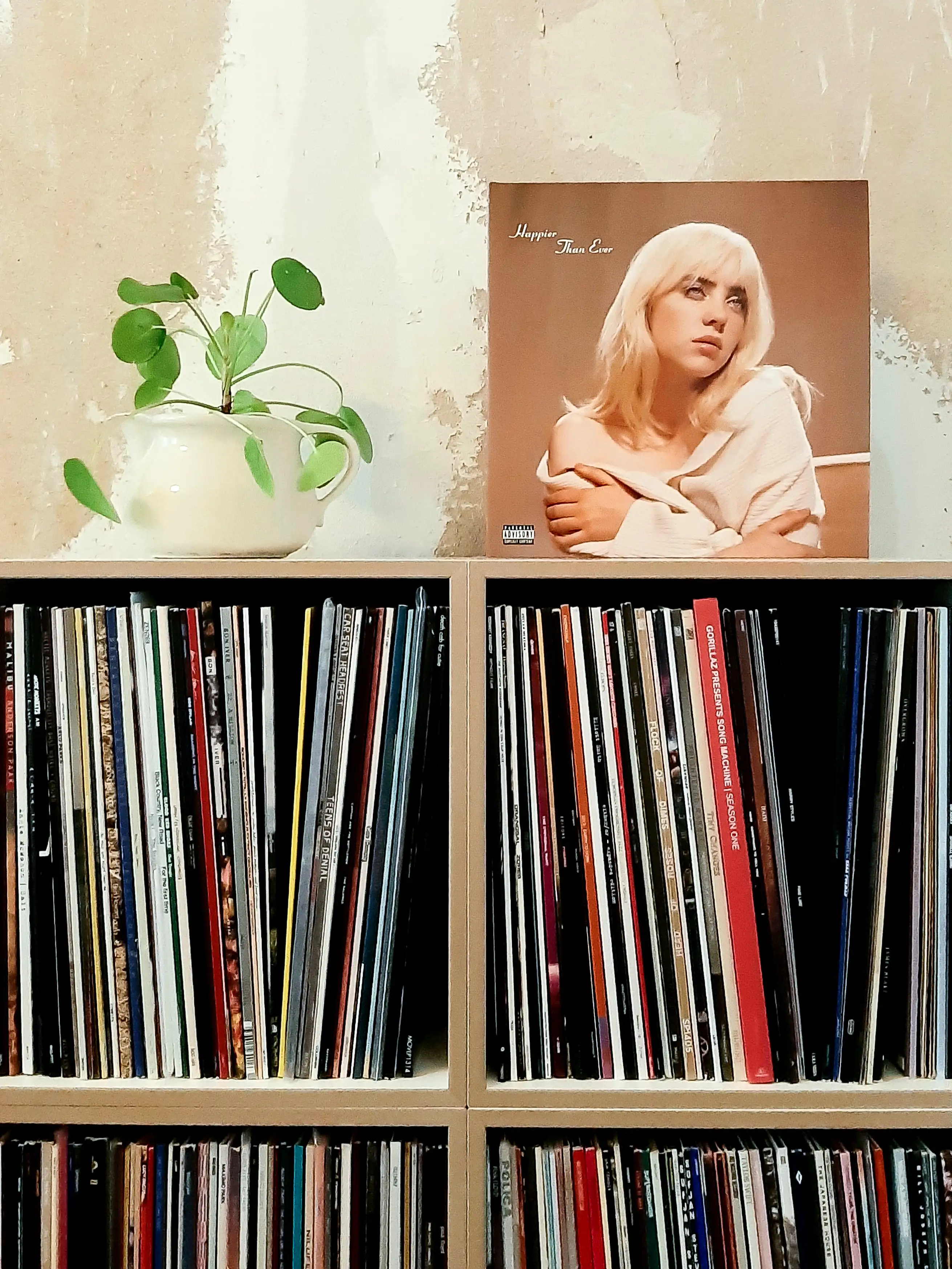 Schallplattenregal, Detail Blog, Kundenbilder, Schallplattenregale, Billie