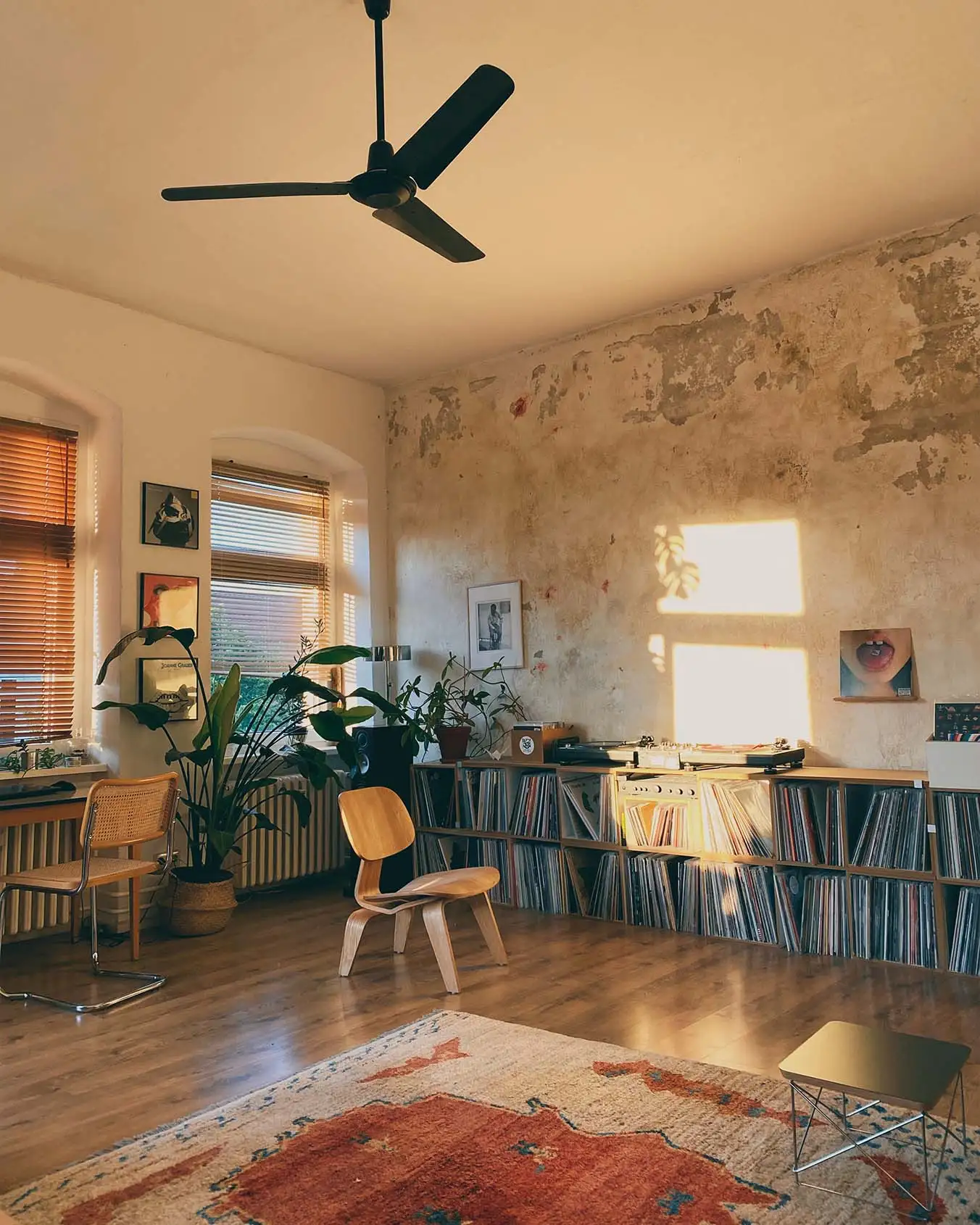 Kundenbilder, Schallplattenregal, Naturpur, Sonnenlicht