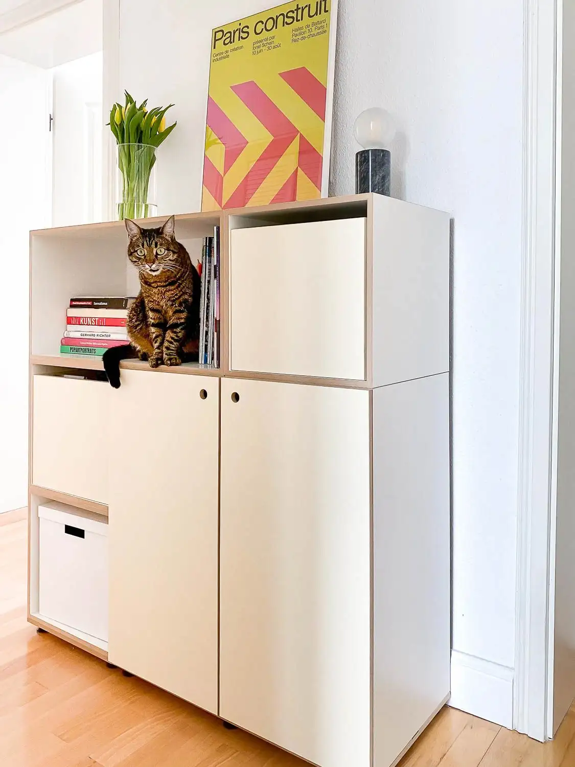 Kundenbilder, Flurregale, 2:1 Modul hochkant mit Tür, Katze