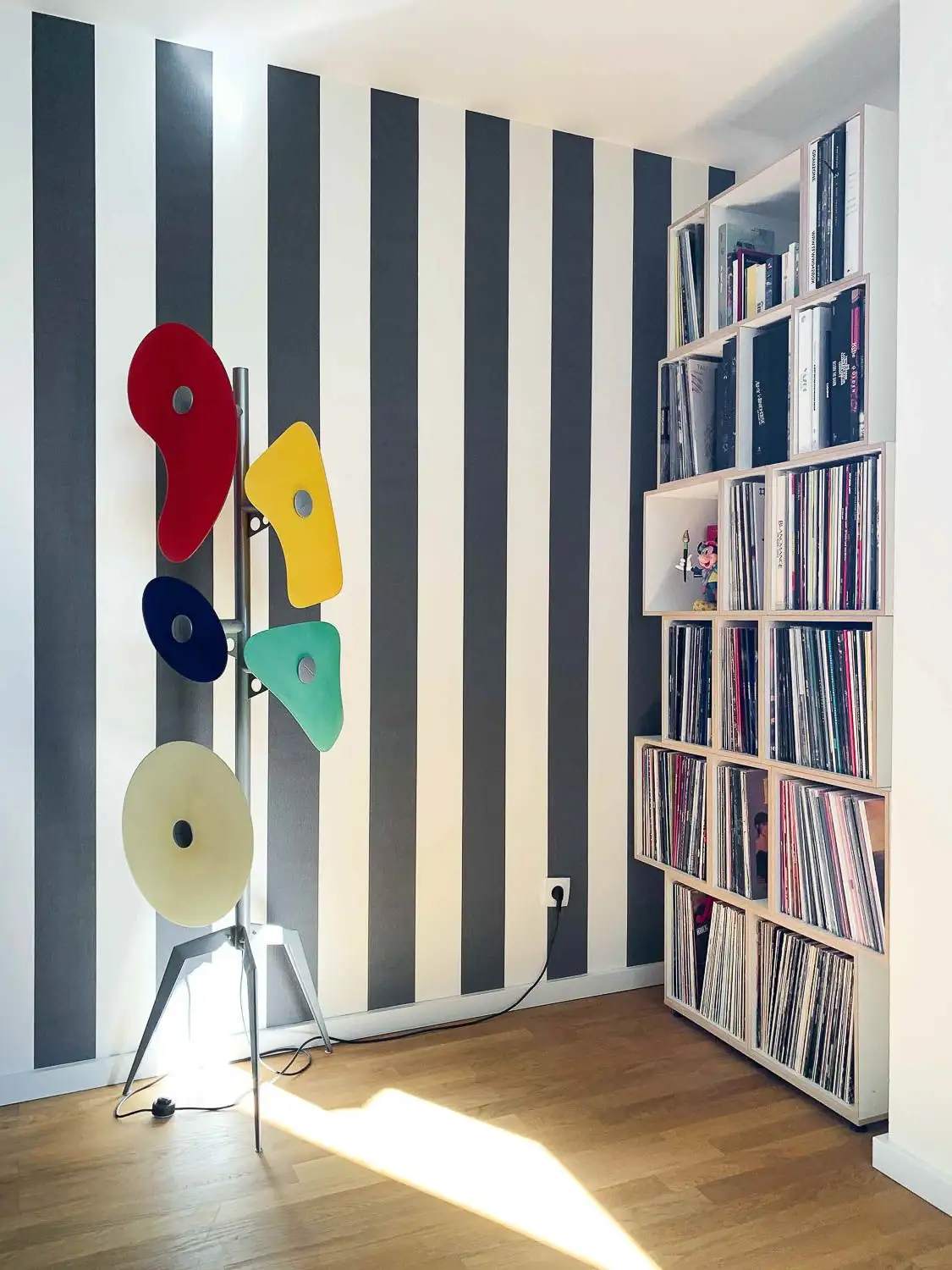 Kundenbilder, Schallplattenregale