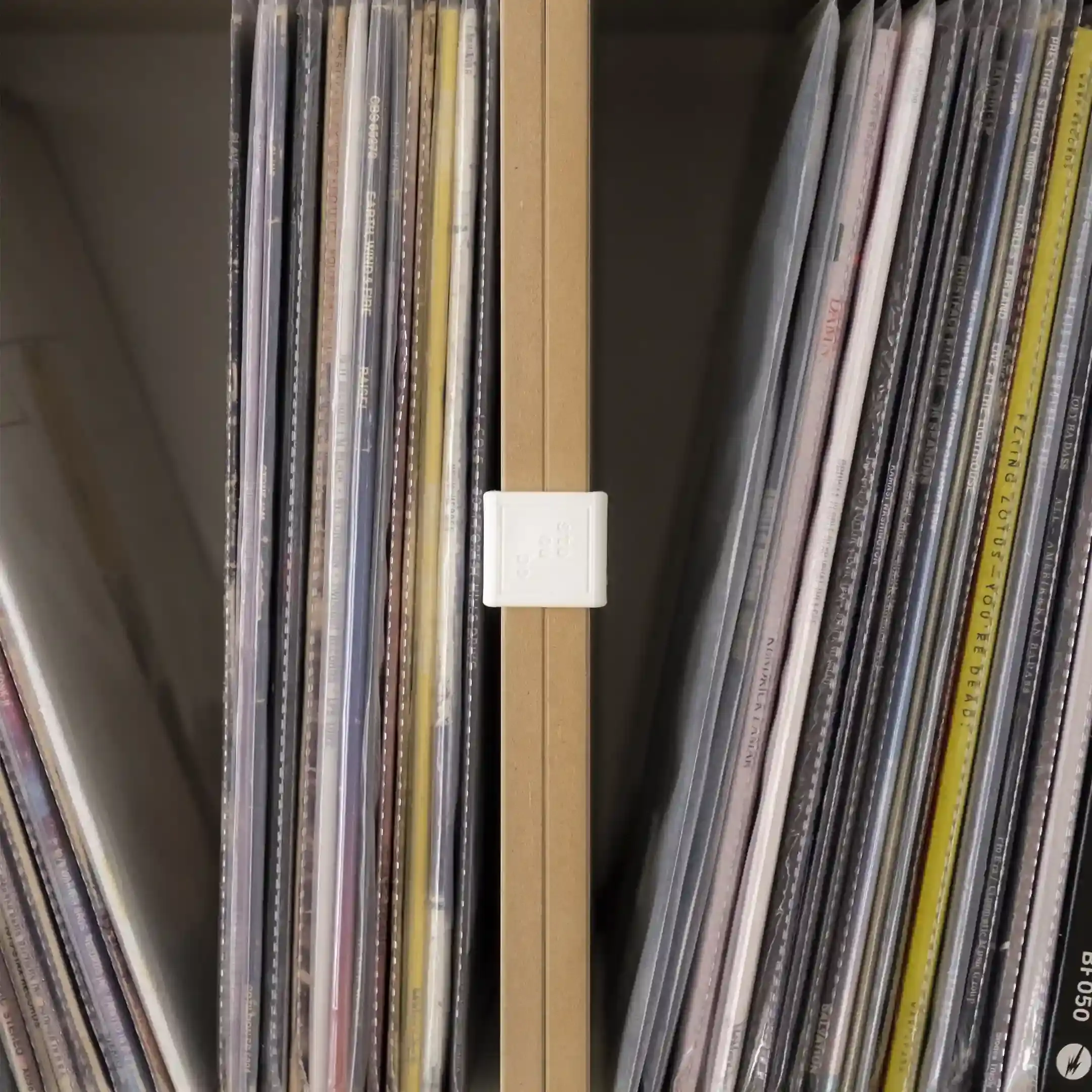 20230515, Manfredvonkoreander, 01, 1x1-10