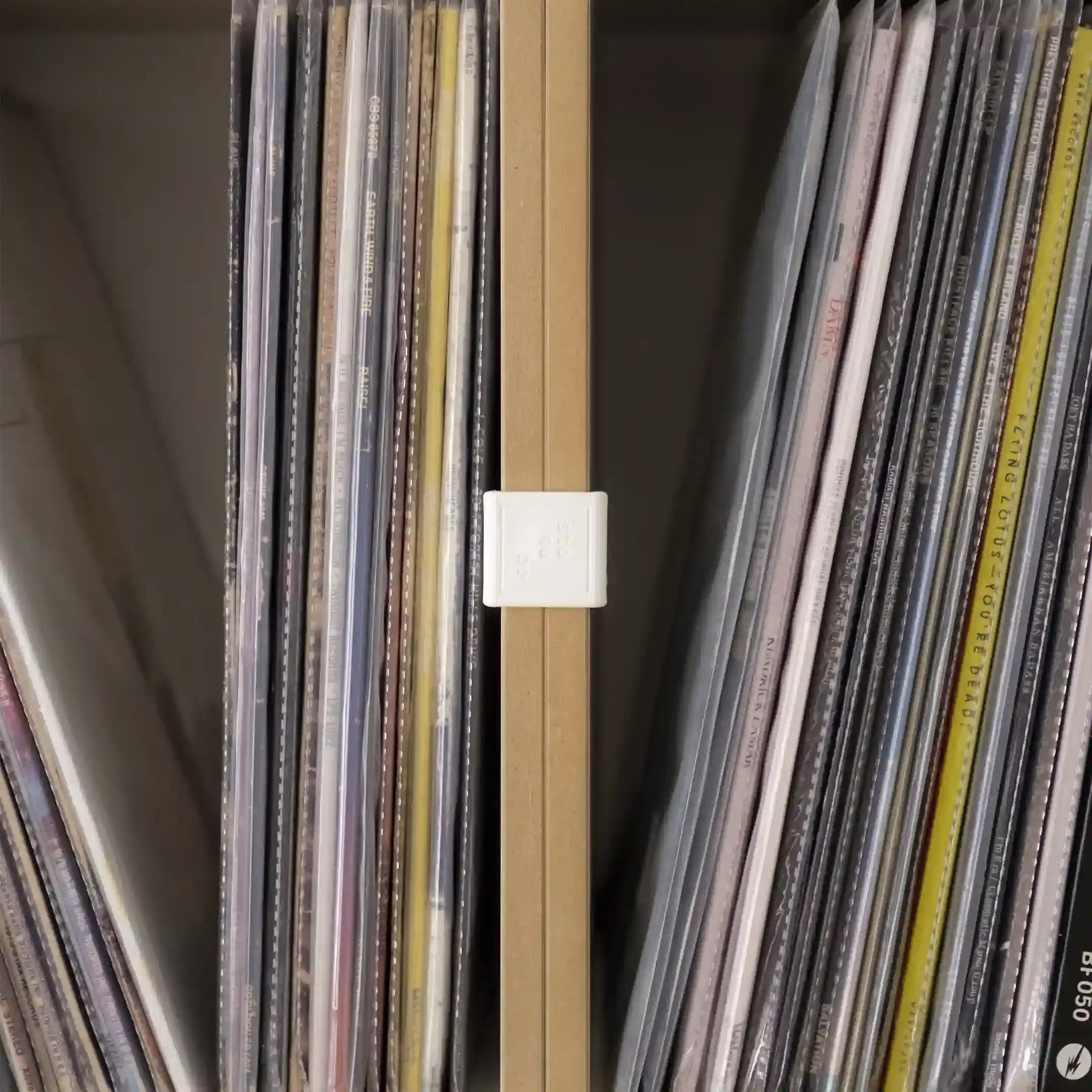 20230515, Manfredvonkoreander, 01, 1x1-10