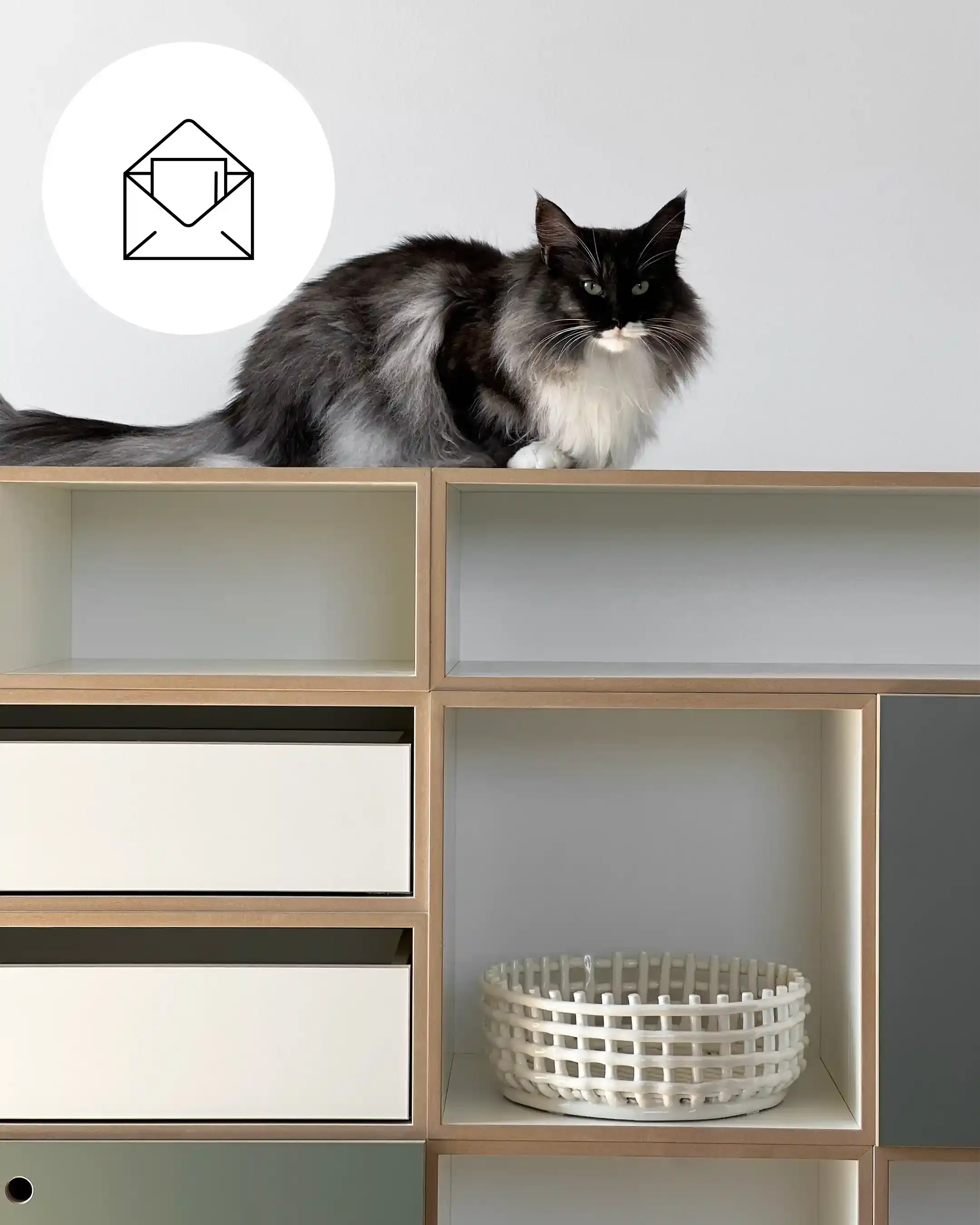 Tile, NL, Signup, cat-30