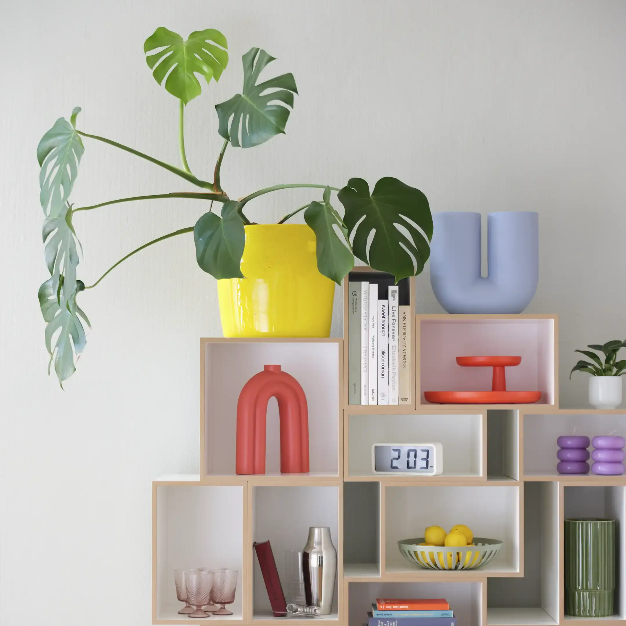 Modulares Bücherregal Bücherregale, Wohnzimmerregale, Modulares Bücherregal, 1:1 Modul, 2:3 Modul, 1:2 Modul, 1x1, 50