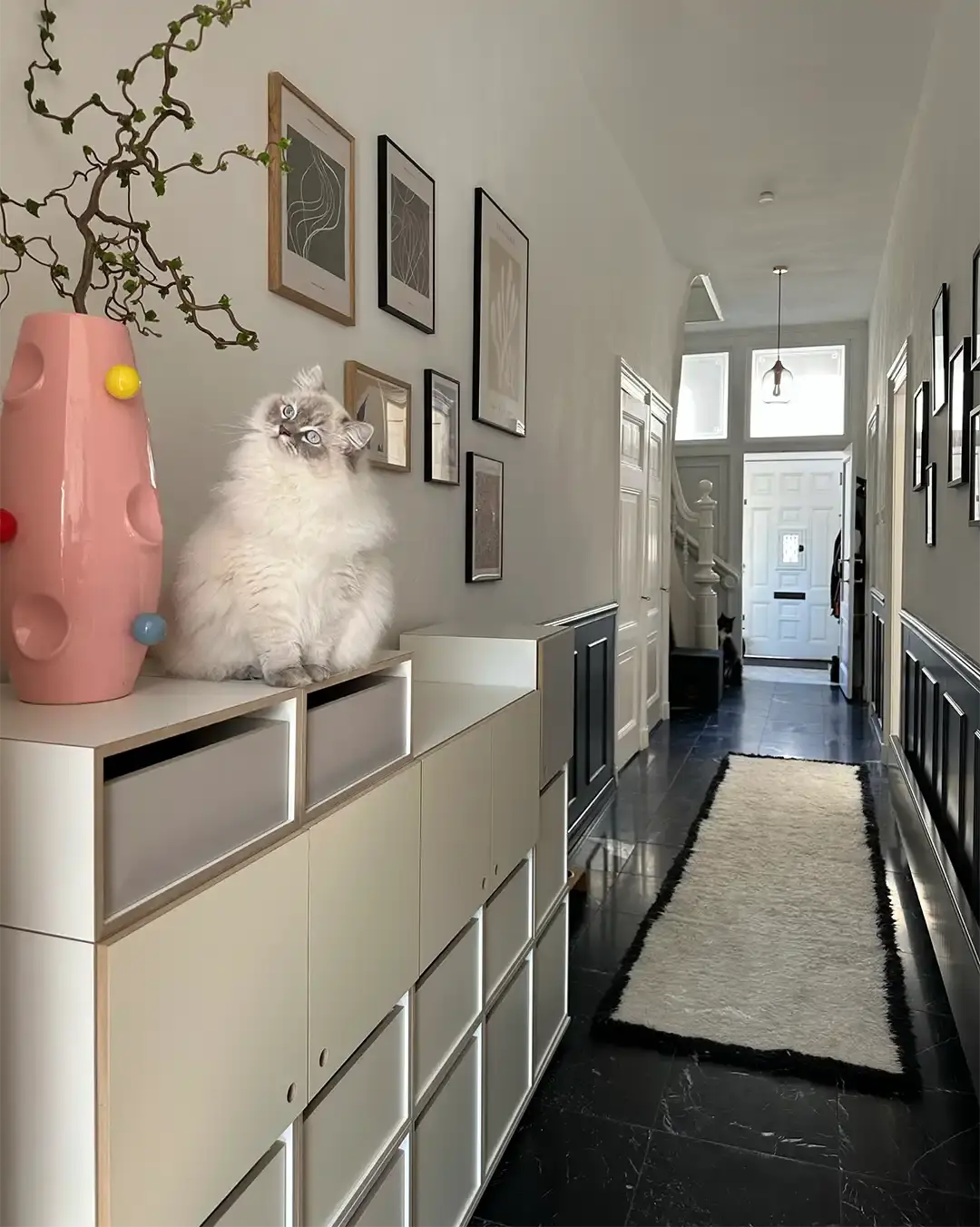 Flurschrank mit Schubladen Koop, Flurregale, Flur, Rapsodia, Katze, Vase, 4x5, 1080, 50