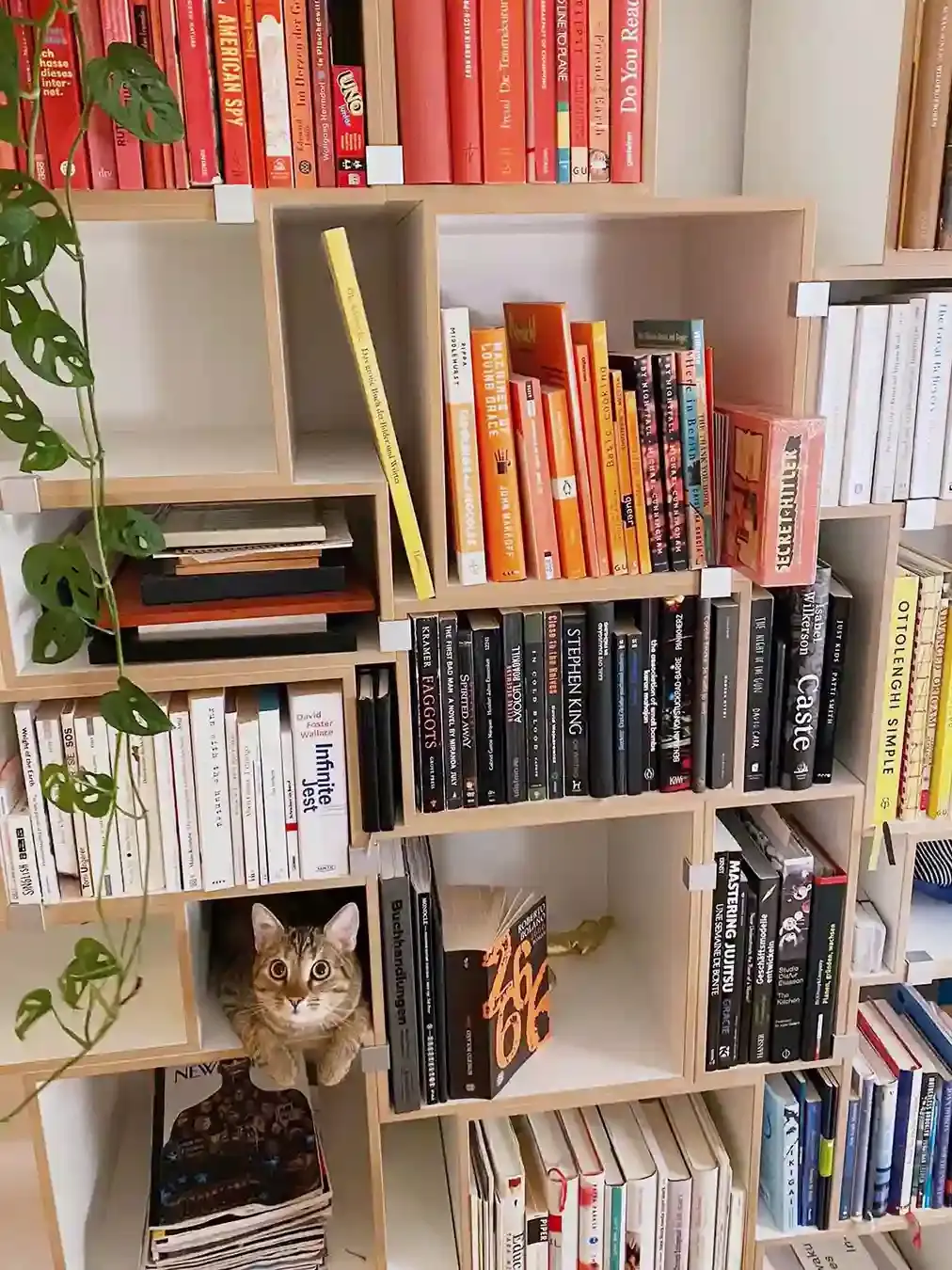 Modulares Bücherregal Kundenbilder, Bücheregale, Katze, 3x4, 1080, 10