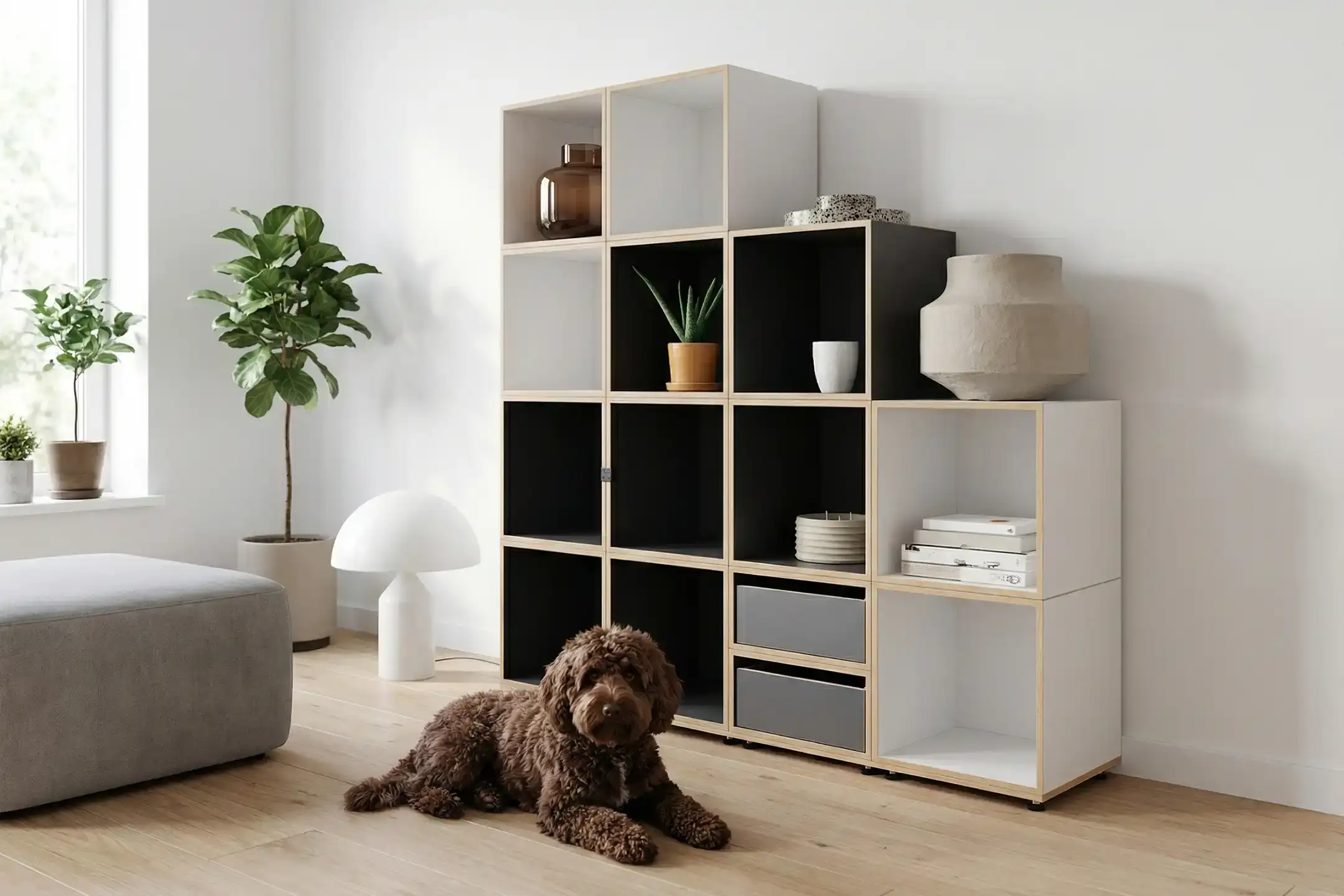 Stufenregal, Schwarz-weißes Regal, Black Edition, Hund, 50