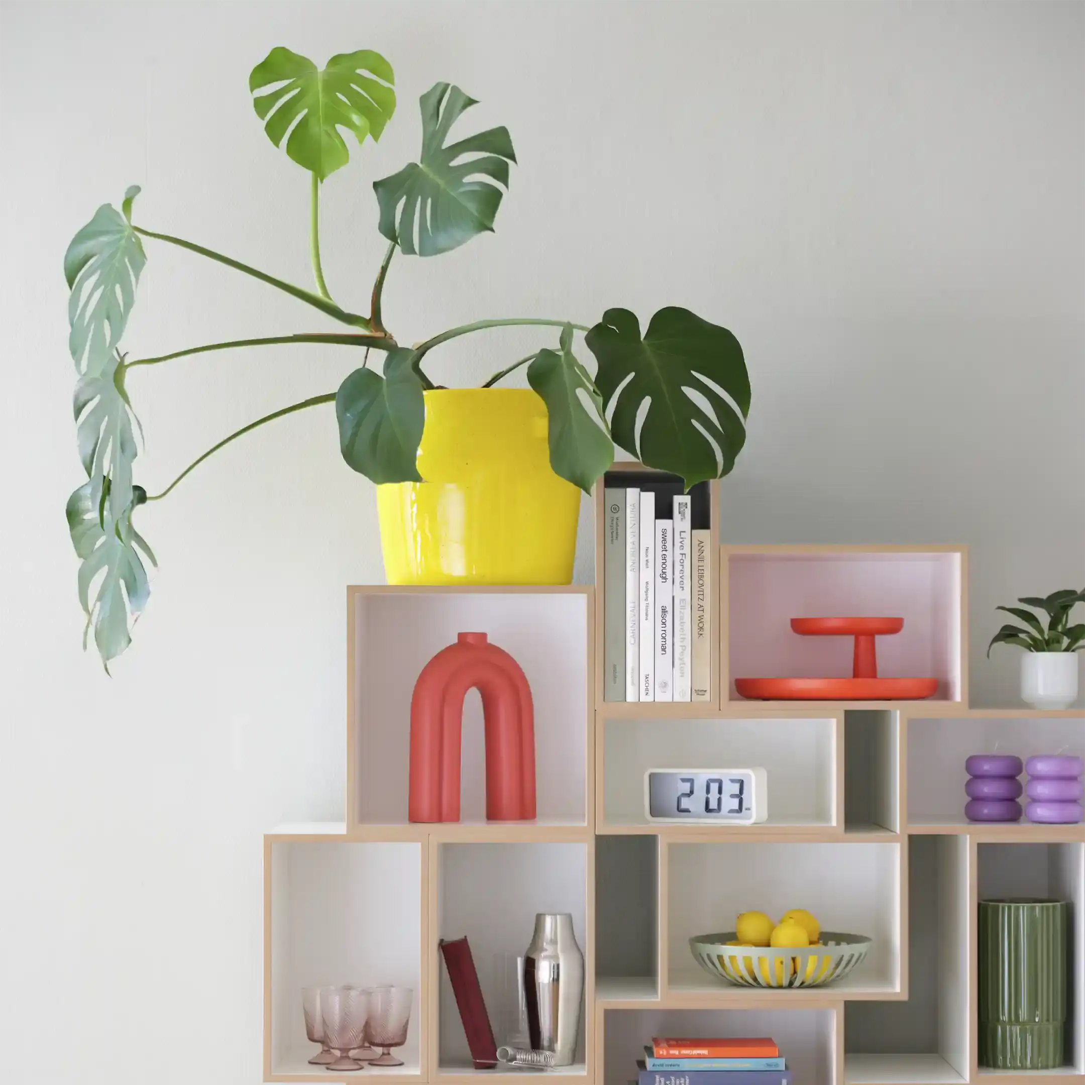 Bücherregale, Wohnzimmerregale, Modulares Bücherregal, 1:1 Modul, 2:3 Modul, 1:2 Modul, 1x1, 30