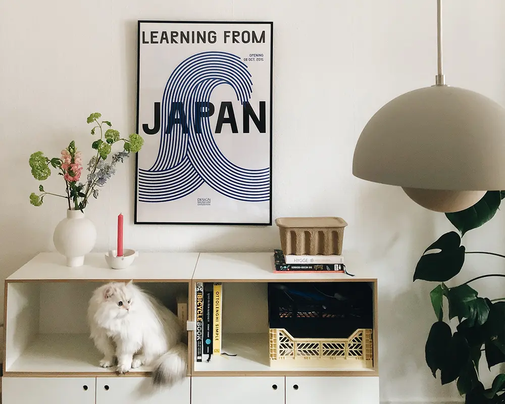 Kleines symetrisches Sideboard Kundenbilder, Sideboards, Japan, Katze