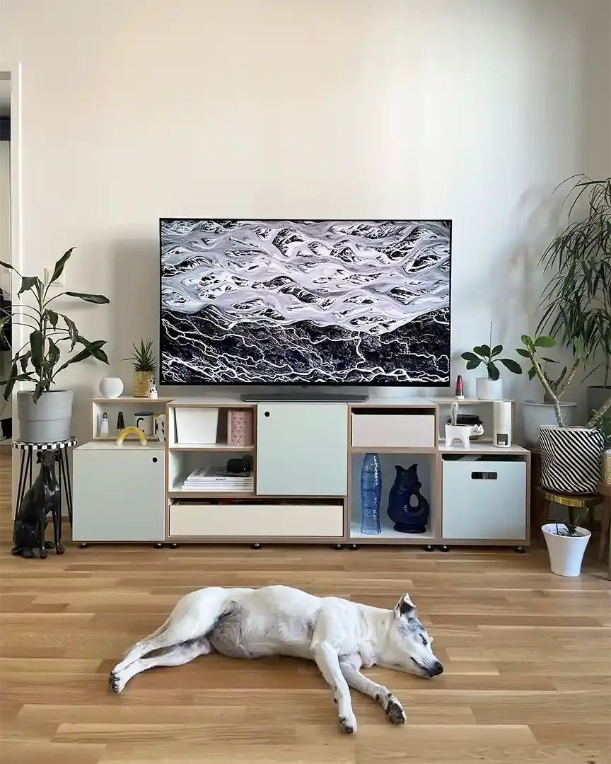 Kundenbilder, Sideboards, Modulares Sideboard, 1:2 Modul doppelte Breite, Einschub, bunt, Vanilla, Pistazien, Kaschmir,Hund