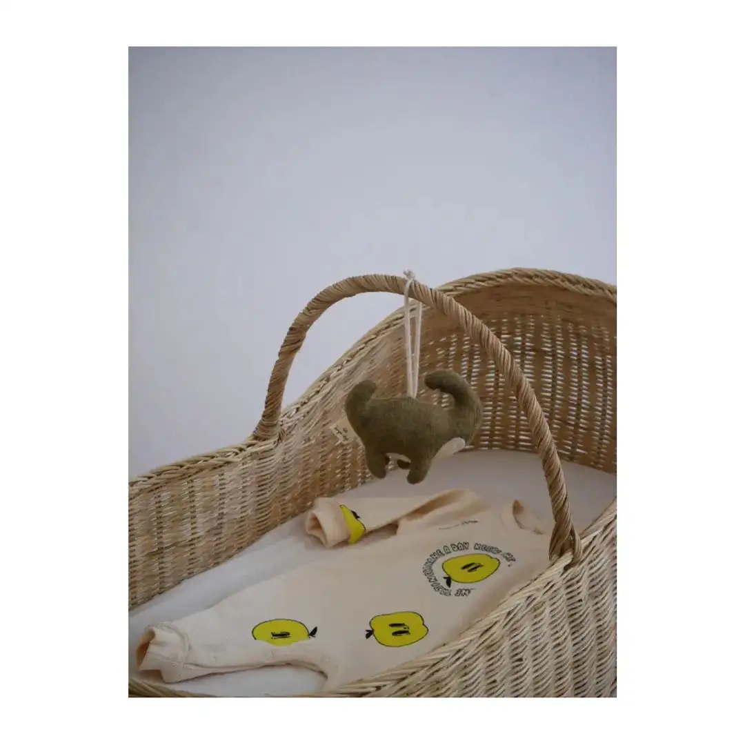 Koop, Blog, Gimme Shelter, Jessica, Schallplattenregal