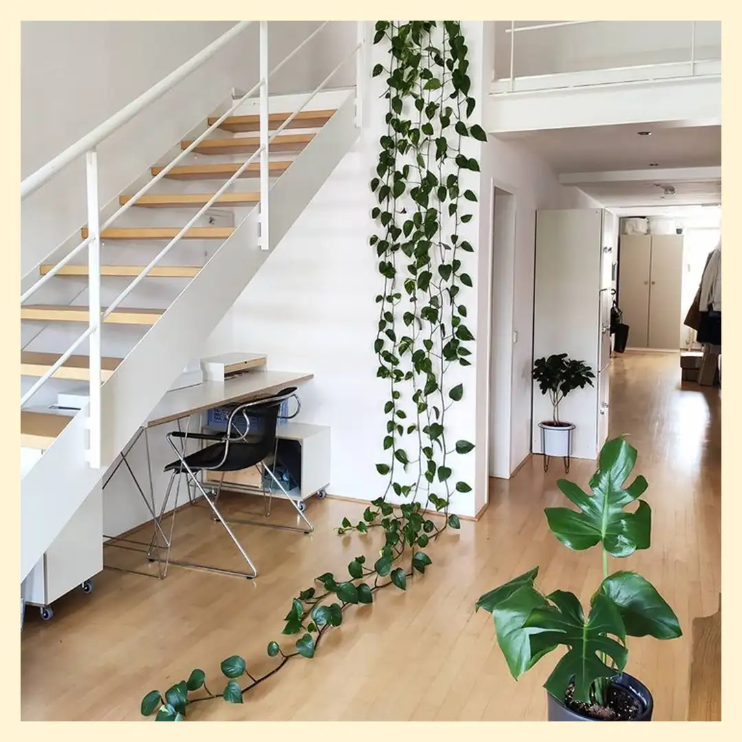 Kati Instagram Koop, Blog, stocubo x doppeltund3fach, Kati, Schallplattenregal