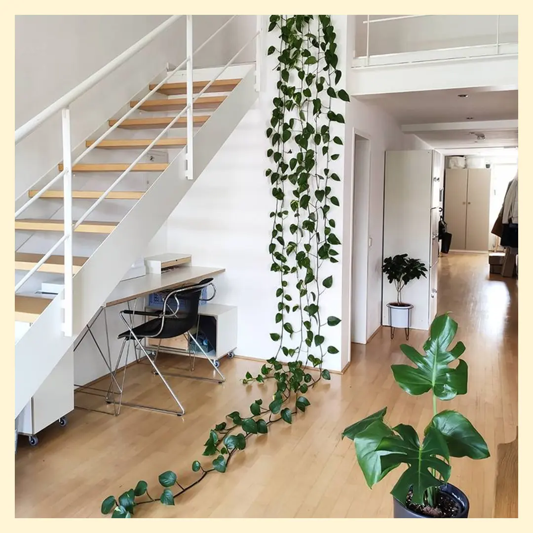 Kati Instagram Koop, Blog, stocubo x doppeltund3fach, Kati, Schallplattenregal