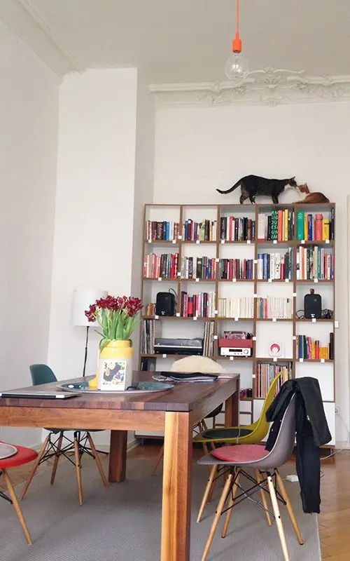 Blog, Katzenregal, Bücherregale