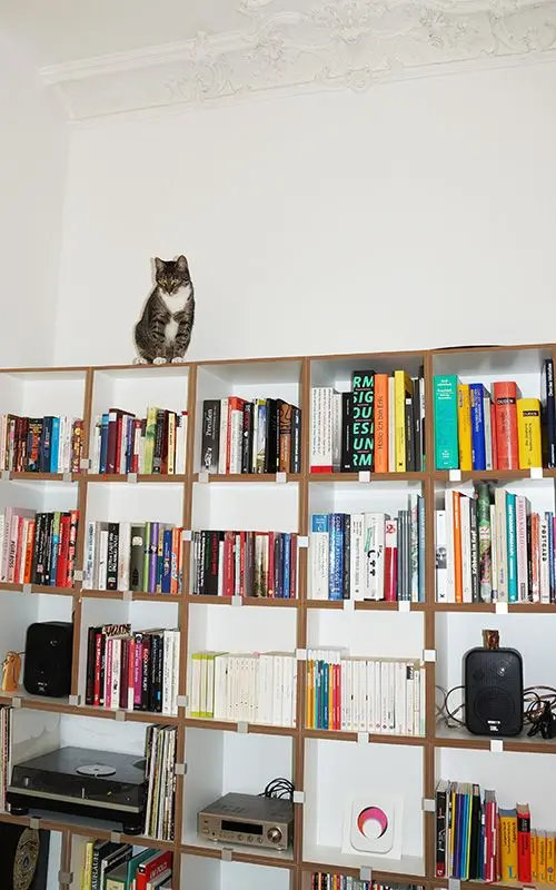 Blog, Katzenregal, Bücherregale