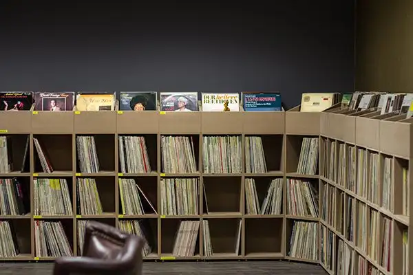 Schallplattenregal mit Flip-Through Boxen Blog, Tipps, Schallplattenregale, naturpur