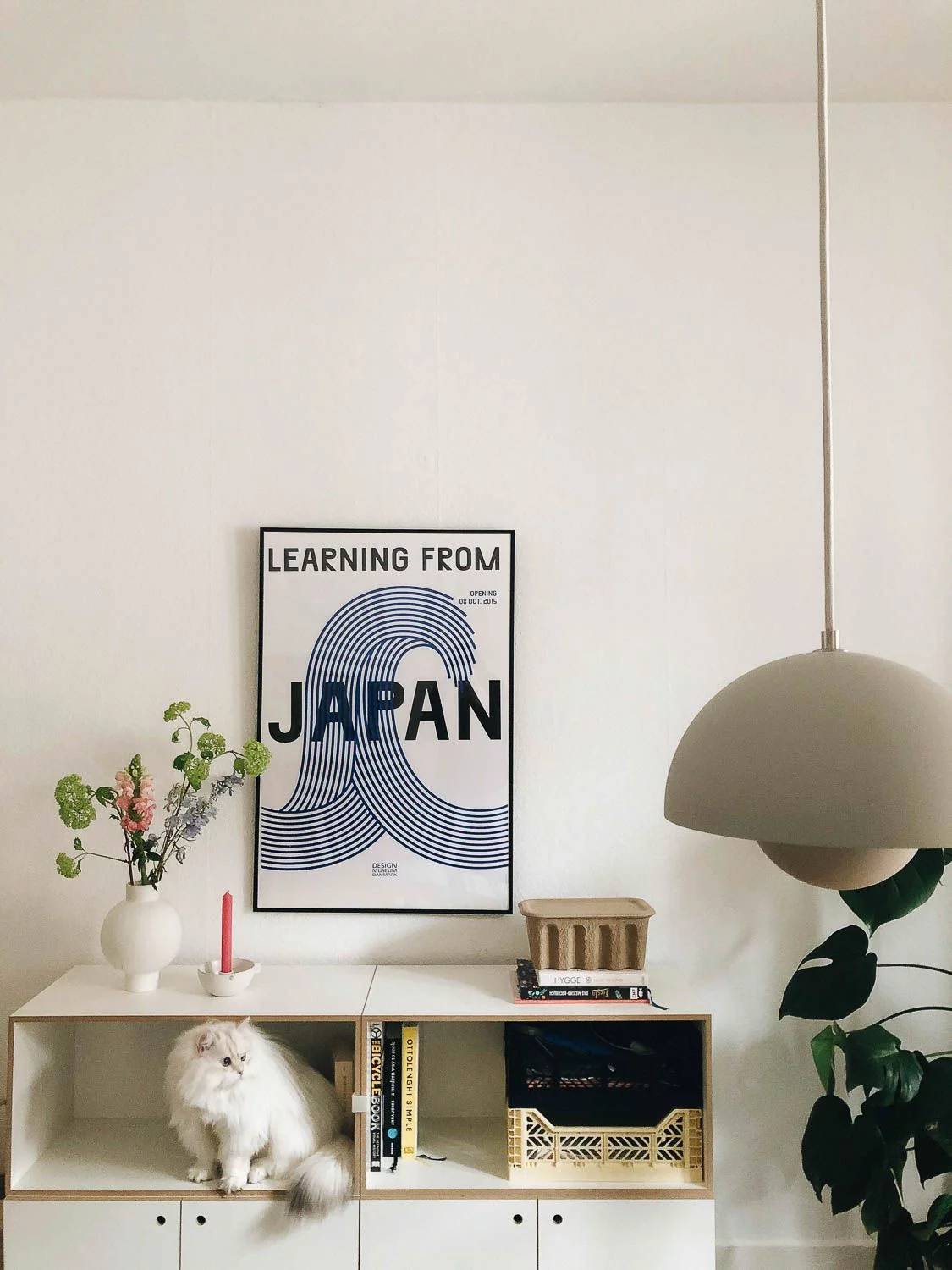 Kundenbilder, Sideboards, Japan, Katze